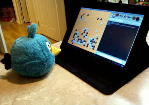 2011-07-25.jpg