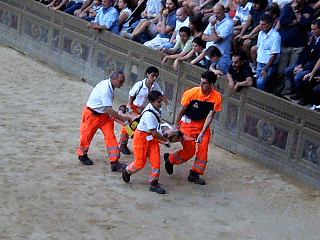 palio stretcher.gif