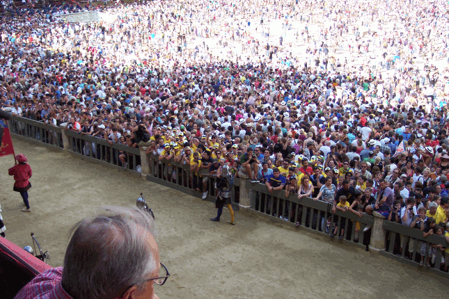 Palio mob.gif