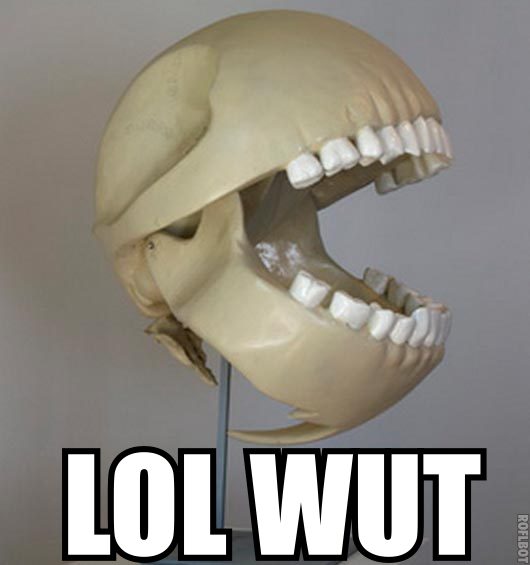 lolwut skull caption.jpg