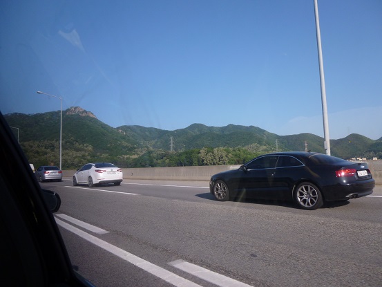 P1000062.jpg