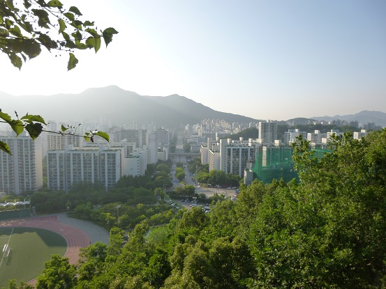P1000121.jpg