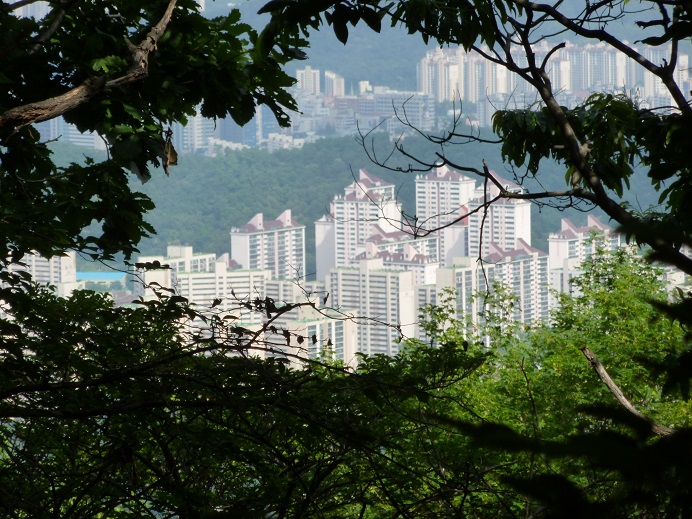 P1000177.jpg