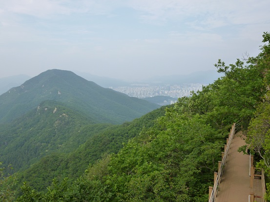 P1000190.jpg