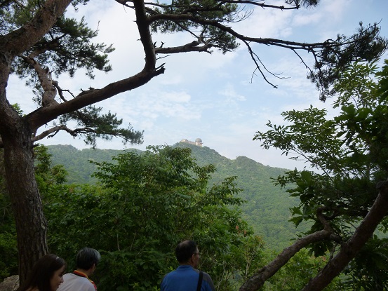 P1000195.jpg