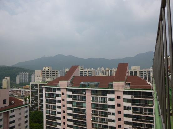 P1000208.jpg