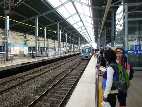 P1000227.jpg