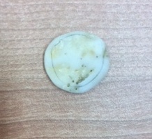 photo 3.JPG