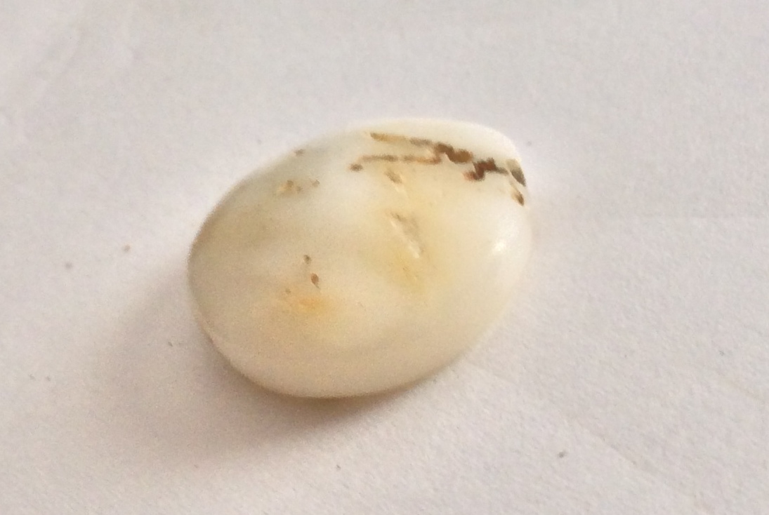 photo 2.JPG