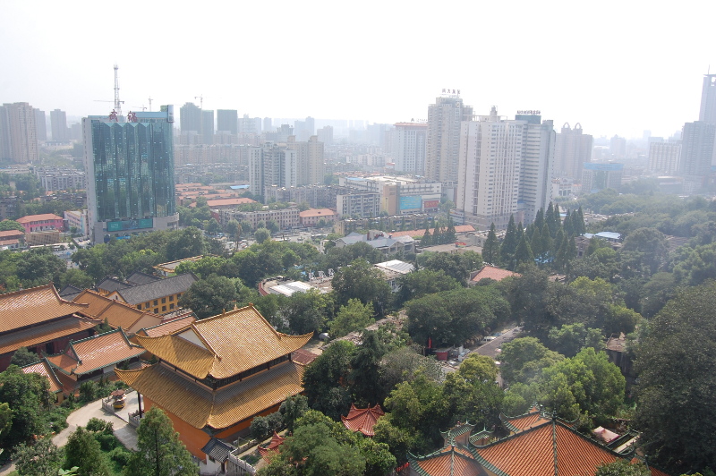 9-theview.jpg