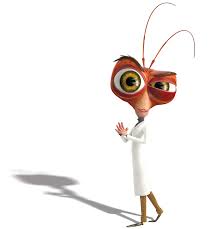 cockroach.jpg