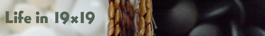 P1000607b-1100.png