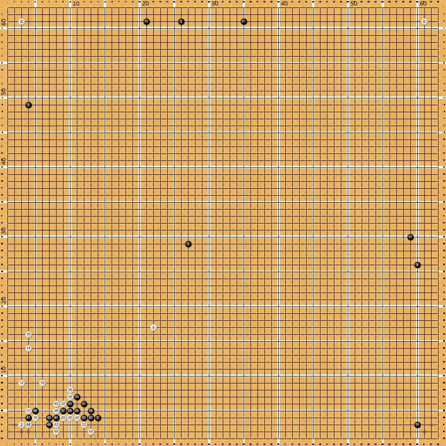 katago 63 X 63.jpg