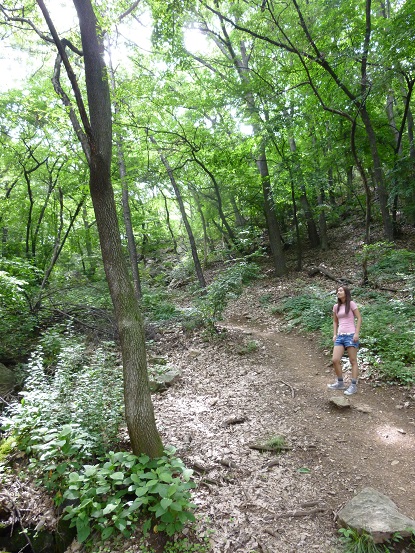 P1000167.jpg