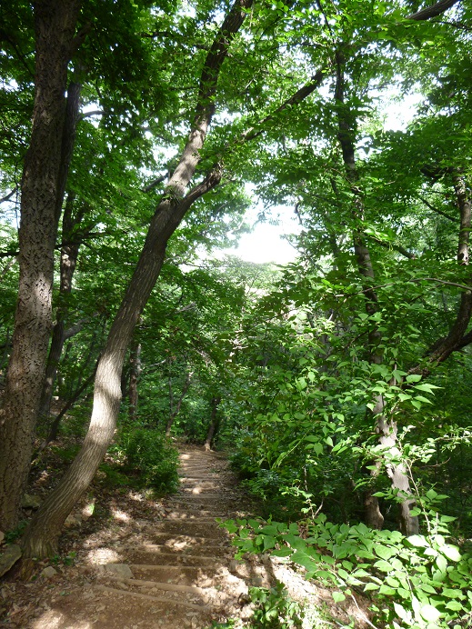 P1000178.jpg
