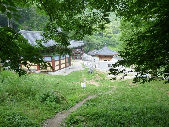 P1000197.jpg