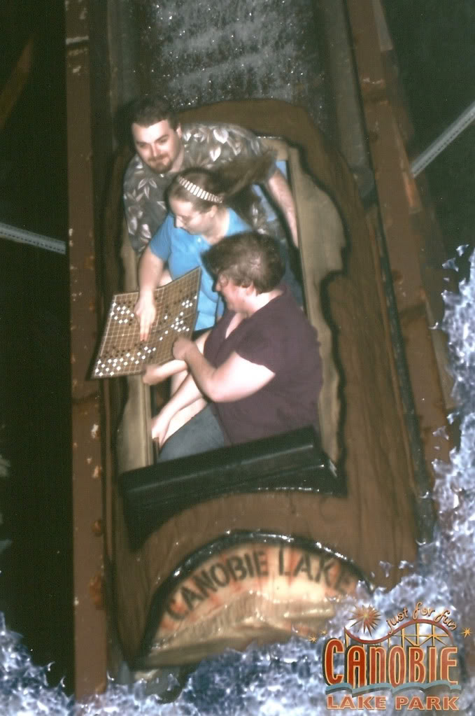 logflumeGo.jpg